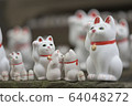 Good friends beckoning cat parent and child 64048272