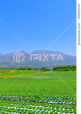 美麗的淺間山2004年部分:山區河流製成的彩色紙2004年 美麗的淺間山2004年部分:山區河流製成的彩色紙2004年 64048344