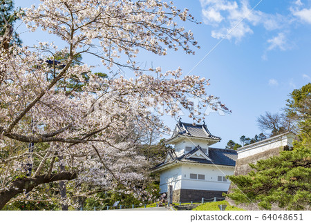 Sendai City Sakura Sakura Aoba Castle Ruins 64048651