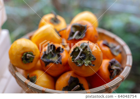 Astringent persimmon dried persimmon persimmon 64048754