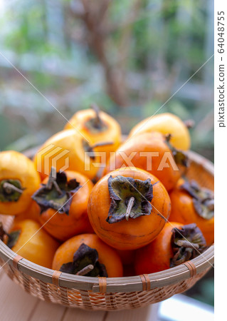 Astringent persimmon dried persimmon persimmon 64048755