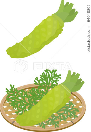 Wasabi monkey Wasabi monkey 64048803