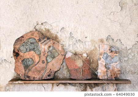 Petrified fossil crinoids 64049030