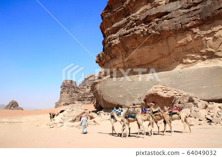 Caravan of camels in Wadi Rum desert, Jordan Caravan of camels in Wadi Rum desert, Jordan 64049032