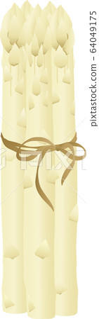 White asparagus 64049175