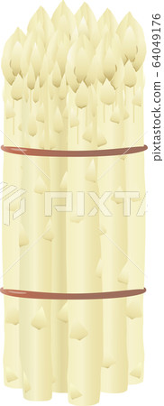 White asparagus 64049176