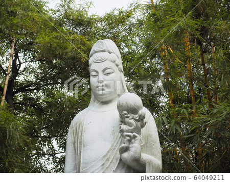 台灣台北大安森林公園 台灣台北大安森林公園 64049211