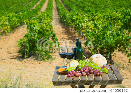 Red wine, cheese, bread and grapes on background with vineyard 64050162