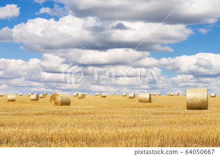 Hay bales with blue cloudy sky 64050667