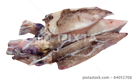 Raw calamari on wooden table 64051708