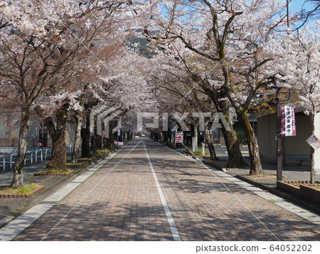 櫻花谷華嚴寺 64052202