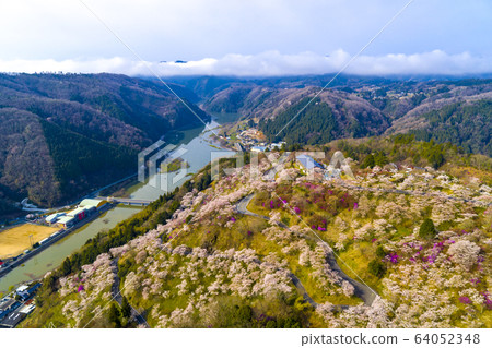 Mikyu Park Sakura Mikyu Park Sakura 64052348