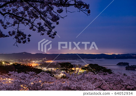 春季的松島灣夜景,盛開的櫻花和宮城縣西新組的松公園 春季的松島灣夜景,盛開的櫻花和宮城縣西新組的松公園 64052934