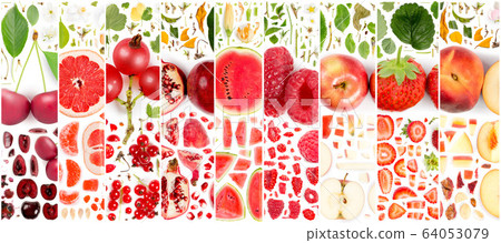 Red Fruit Slice and Leaf Collection 64053079