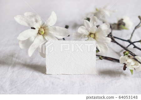 Wedding stationery mock-up scene. Blank greeting business, RSVP paper card on linen tablecloth background with bloomimg white star magnolia tree branches. Feminine still life composition. Wedding stationery mock-up scene. Blank greeting business, RSVP paper card on linen tablecloth background with bloomimg white star magnolia tree branches. Feminine still life composition. 64053148