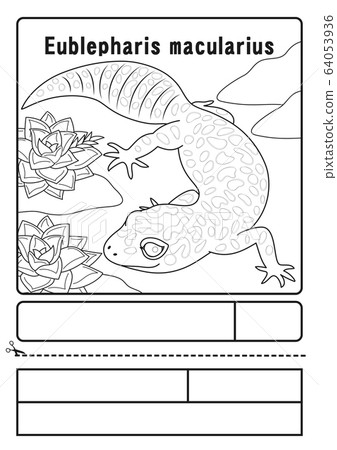 Leopard gecko coloring page 64053936
