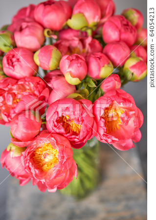 Coral peonies in a glass vase on wooden table. Beautiful peony flower for catalog or online store. Floral shop concept . Beautiful fresh cut bouquet. Flowers delivery. 64054213