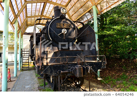 蒸汽機車在公園 蒸汽機車在公園 64054246