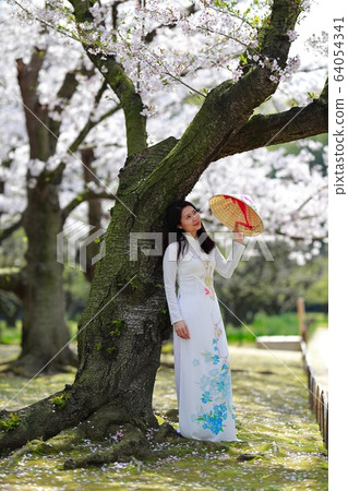 Ao dai Ao dai 64054341