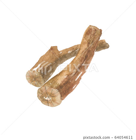 Sandalwood sandalwood root Sandalwood sandalwood root 64054611