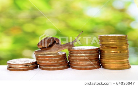 Brown snail climbing the pile of coins with bright colorful background , Victory and success from patience , Slow economic growth , Development financial and commit business concept Brown snail climbing the pile of coins with bright colorful background , Victory and success from patience , Slow economic growth , Development financial and commit business concept 64056047