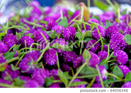 Bag of flowers  at Pak Khlong Talat, Bangkok 64056348