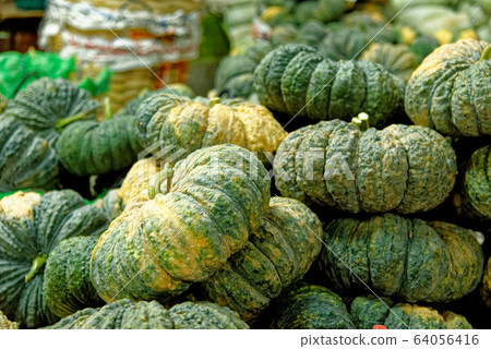 Green baby pumpkins Green baby pumpkins 64056416