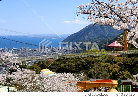 Cherry blossoms and amusement parks 64056439