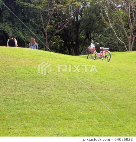 Teenagers sit at the park 64056928