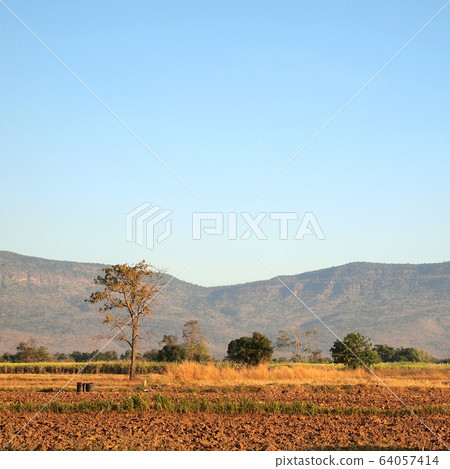 Mountains and fields 64057414