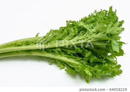 Refreshing taste-wasabi greens 64058229