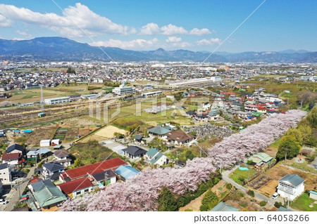 Odawara City Tajima Sakura no Sato 64058266