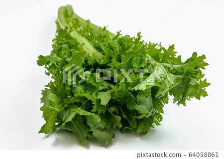 Refreshing taste-wasabi greens Refreshing taste-wasabi greens 64058861