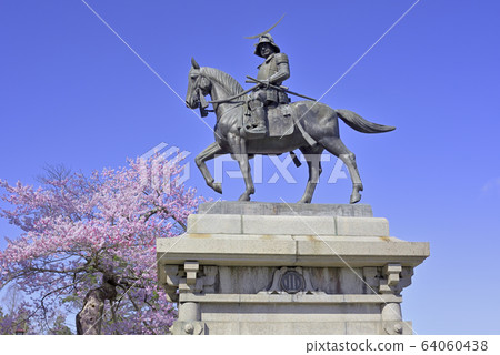 Cherry blossoms and Date Masamune horse riding statue 64060438