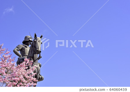 Cherry blossoms and Date Masamune horse riding statue Cherry blossoms and Date Masamune horse riding statue 64060439