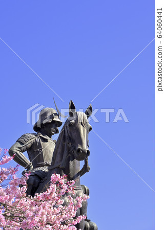 Cherry blossoms and Date Masamune horse riding statue Cherry blossoms and Date Masamune horse riding statue 64060441
