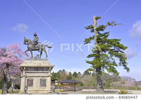 Cherry blossoms and Date Masamune horse riding statue Cherry blossoms and Date Masamune horse riding statue 64060447