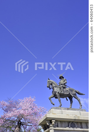 Cherry blossoms and Date Masamune horse riding statue Cherry blossoms and Date Masamune horse riding statue 64060453