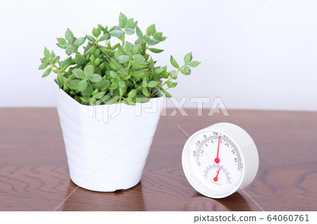 Foliage plants adjust humidity Foliage plants adjust humidity 64060761