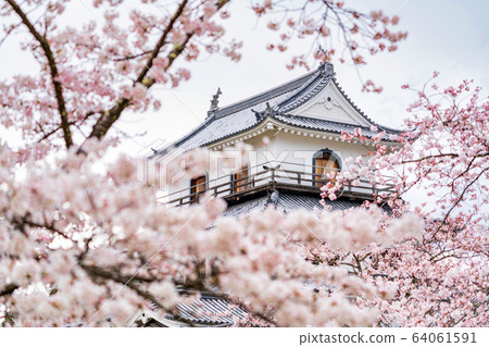 宮城縣白石城和櫻白石市 64061591