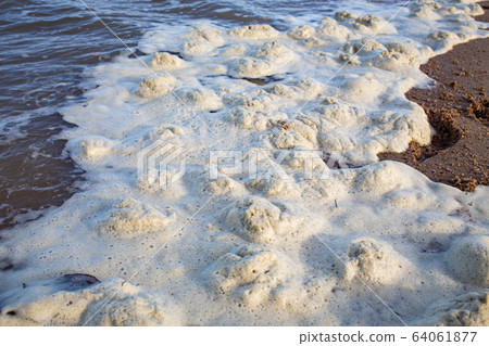 Dirty Sea foam or Whipping cream ocean, Pollution of environment Dirty Sea foam or Whipping cream ocean, Pollution of environment 64061877