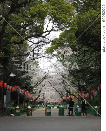 上野公園被櫻桃樹封鎖後 64062006