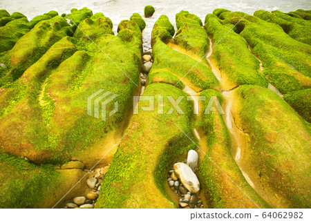 綠色藻礁 64062982