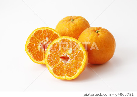 龐坎橘子 龐坎橘子 64063781