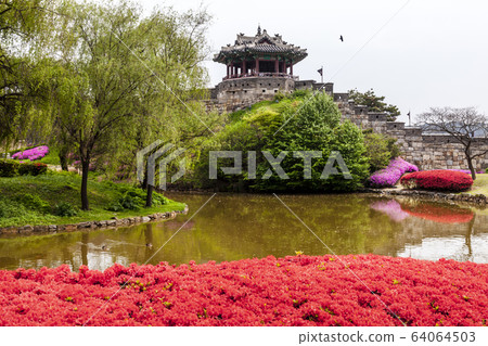 水原華城 64064503