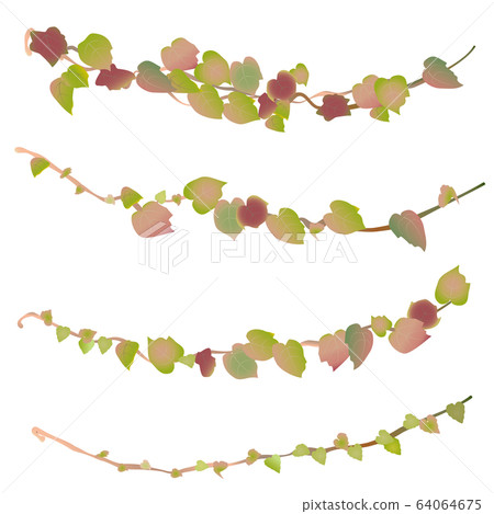 常春藤葉藤插圖集 常春藤葉藤插圖集 64064675