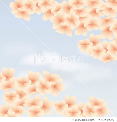 櫻花和藍天背景圖 櫻花和藍天背景圖 64064689
