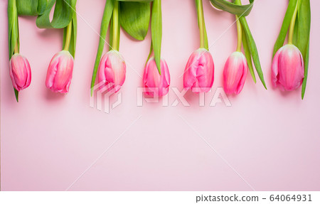 Spring flower pink tulips 64064931