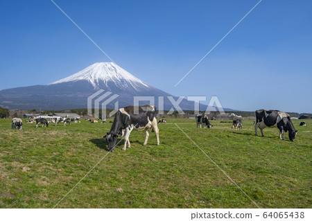 Asagiri Kogen Beef Mt. [Fujinomiya City, Shizuoka Prefecture] 64065438