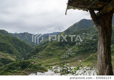 rice terrace, terraced rice-fields, paddy 64066224